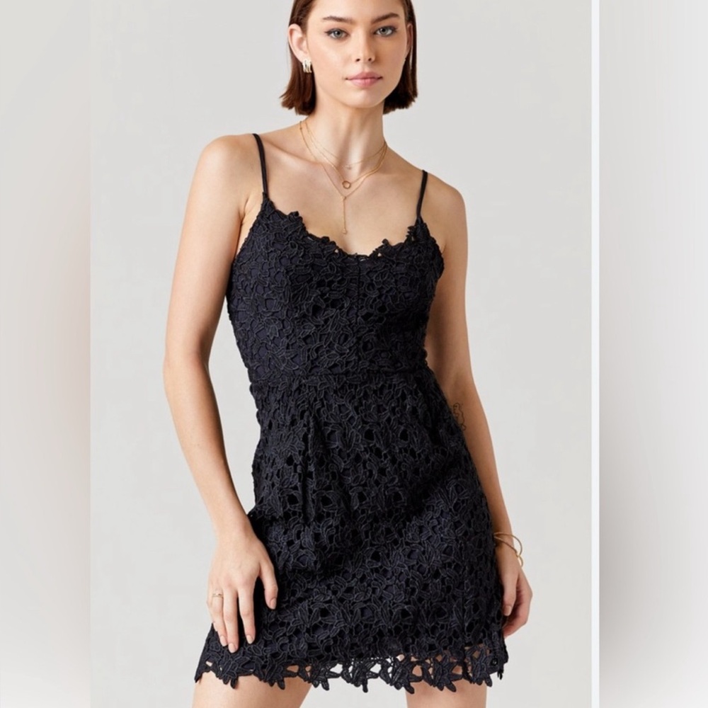 NWT Francescas Gramercy Openwork Lace Mini Dress